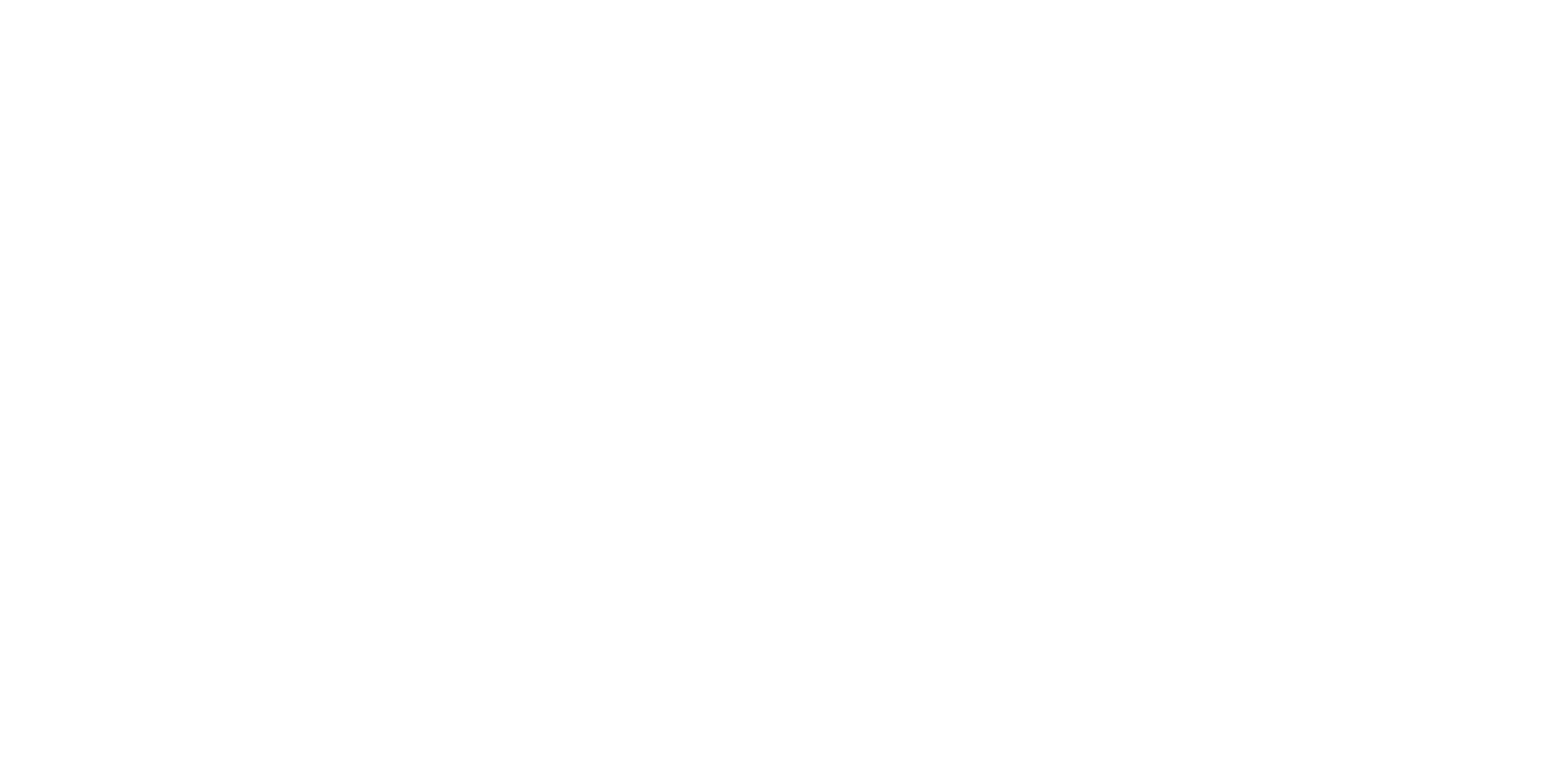 Эхо войны