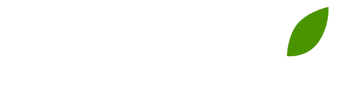 Последний из Магикян (fasl 3)